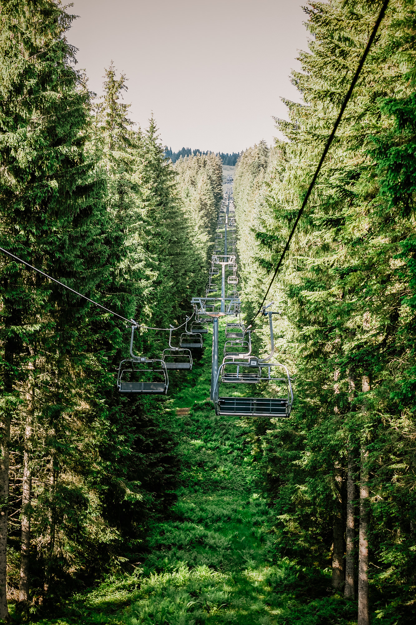 Export x3 043 JC 607 Beispiele Eva 2016